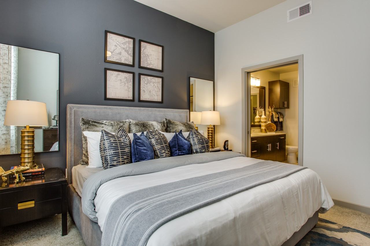 Stella - Photo 6 of 50