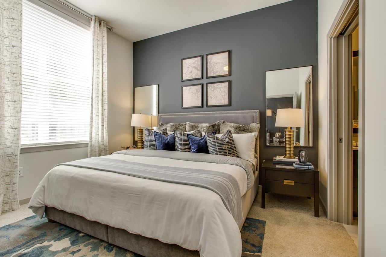 Stella - Photo 7 of 50