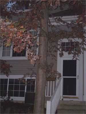 6340 Quail Run Dr - Photo 3 of 3