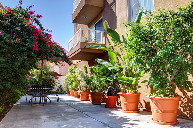 Marlon Manor Apts - Photo 6 of 20