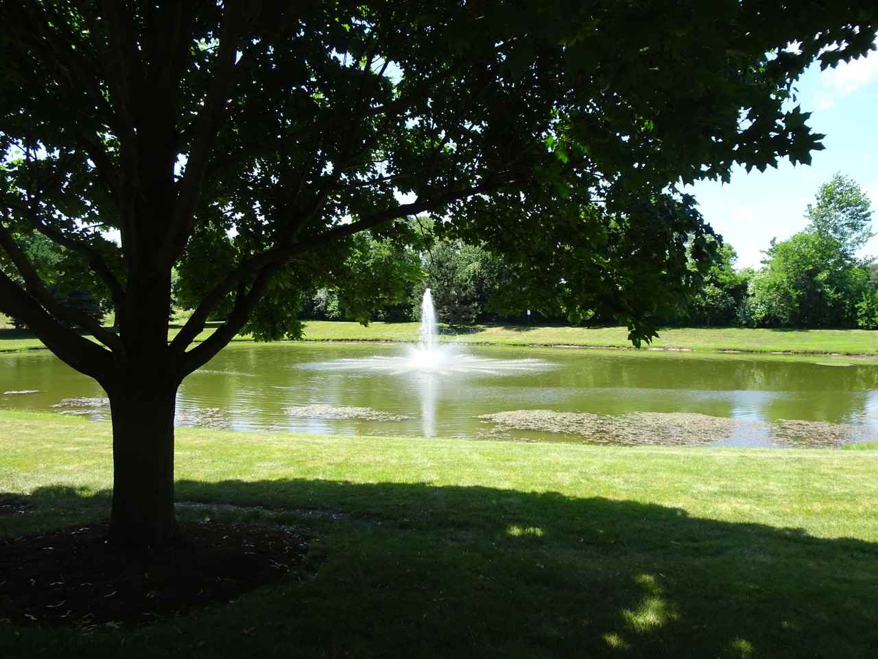 601 Pheasant Trail - Photo 2 of 11