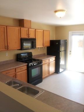 1091 Serena Springs Ct - Photo 2 of 5