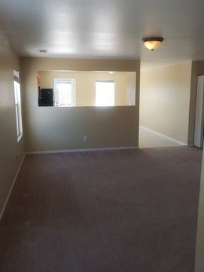 1091 Serena Springs Ct - Photo 3 of 5