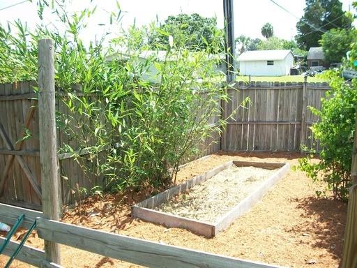 2154 Dordon Dr - Photo 2 of 15