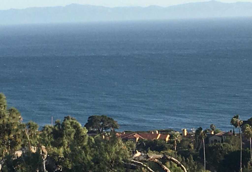 734 Sea Ranch Dr - Photo 2 of 24