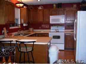 1236 Larkspur Dr - Photo 2 of 6
