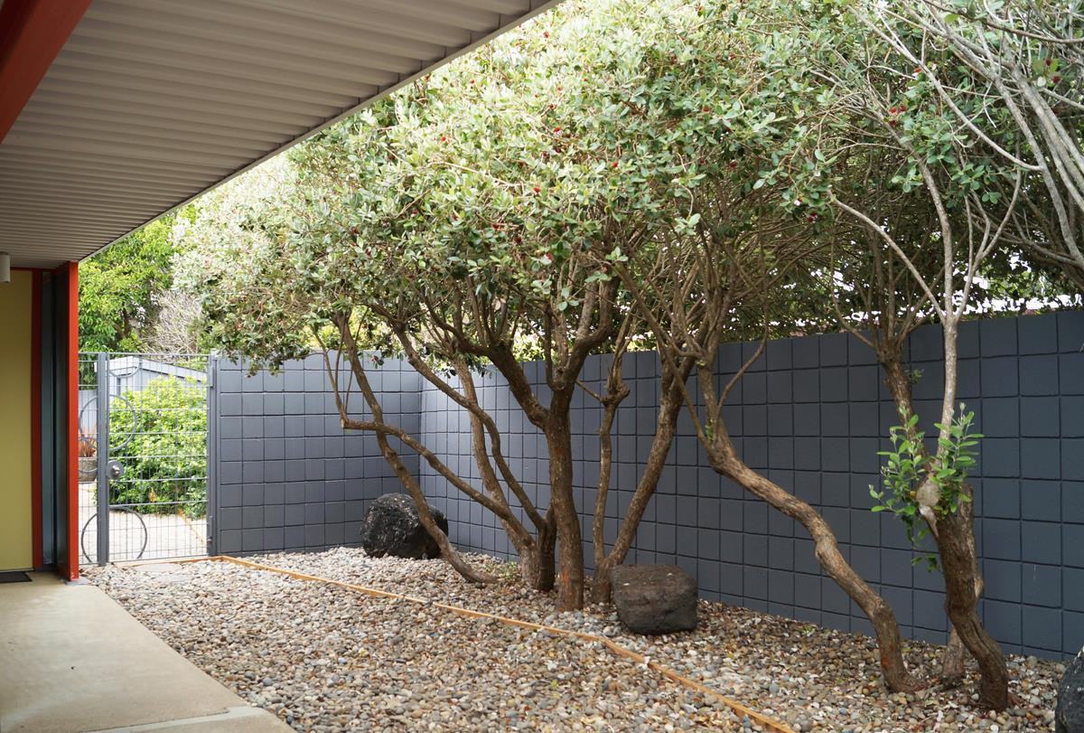 1586 Lexington Ave - Photo 3 of 16