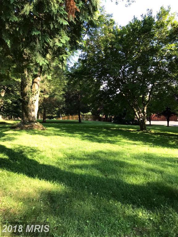 13100 Glen Mill Rd - Photo 3 of 20