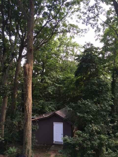 231 E Highland Ave - Photo 2 of 11