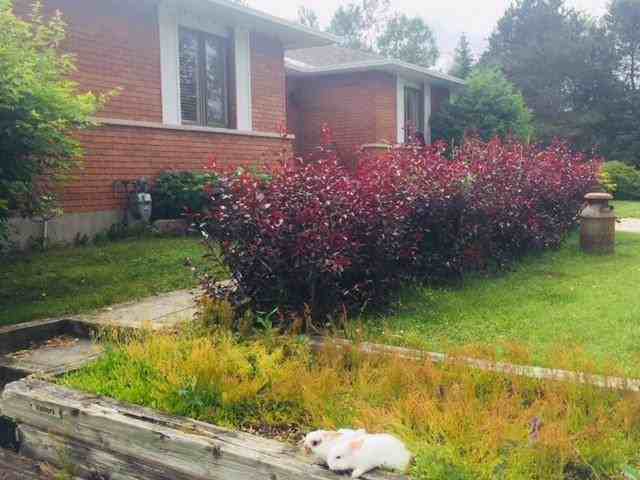 128 Limoges Rd - Photo 3 of 7