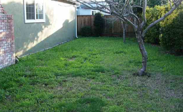 1591 Nicholas Dr - Photo 2 of 5