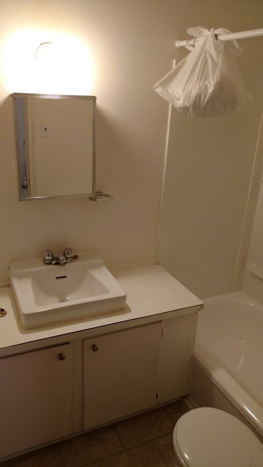 257 Daly Avenue #4 - Photo 4 of 6