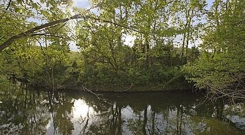 1211 Bell Road - Photo 3 of 19