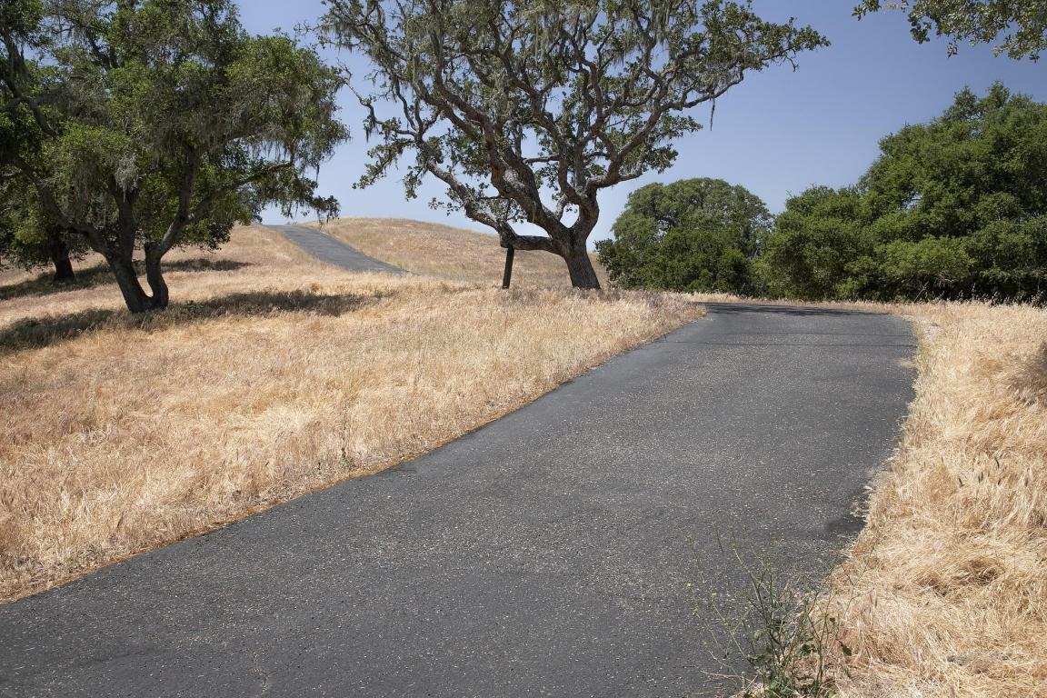 3791 Live Oak Rd - Photo 2 of 18