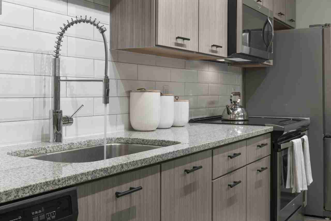 Azola - Photo 2 of 20