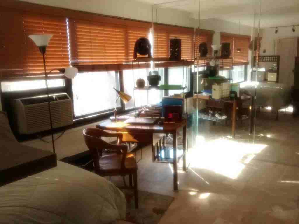 3420 North Lake Shore Drive #11J