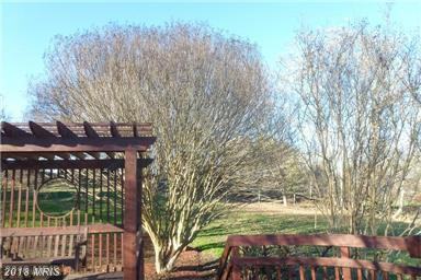 12220 Drews Ct - Photo 3 of 24