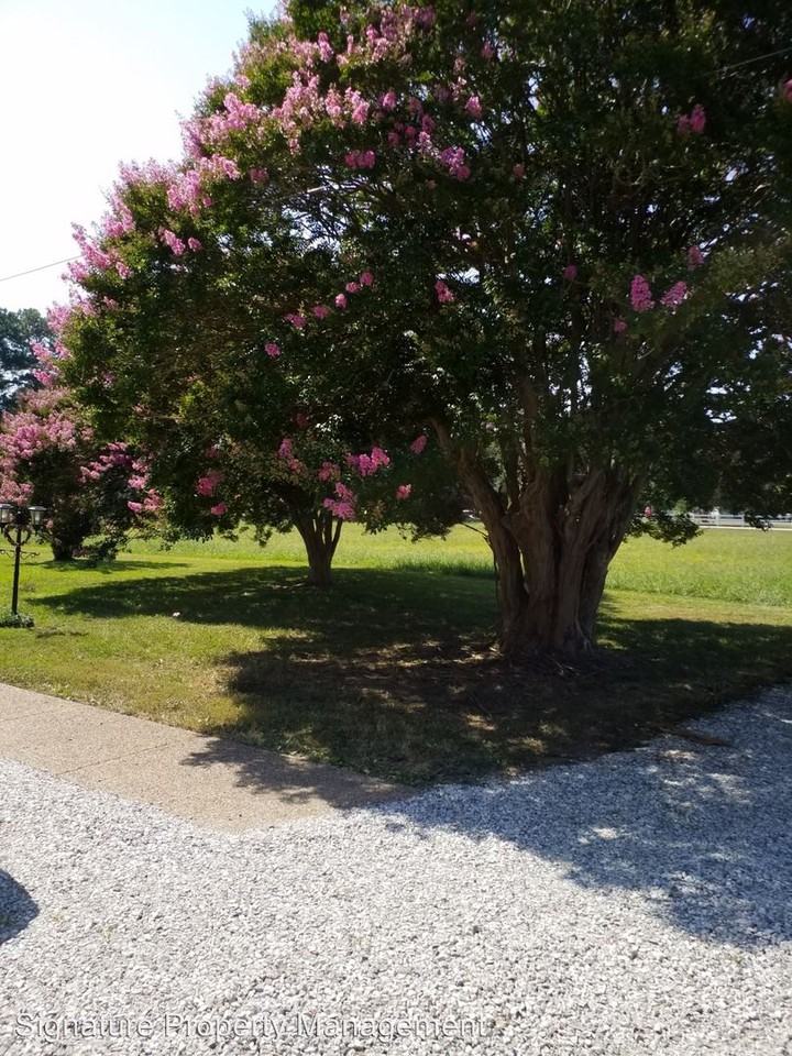 869 Poquoson Ave - Photo 3 of 15