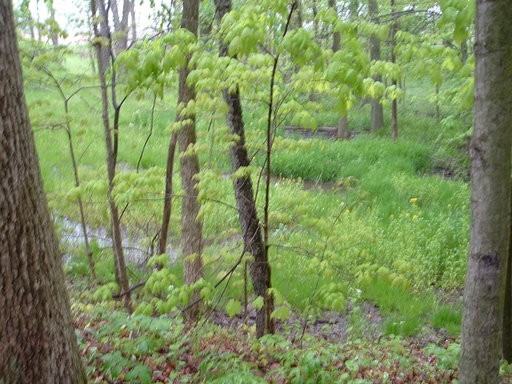 11137 Cowpath Rd - Photo 2 of 5