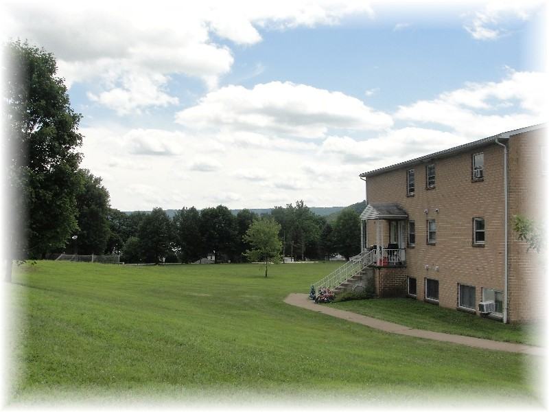 11 Rebecca Drive Apartments 11 Rebecca Dr, Duncannon, PA 17020 Zumper