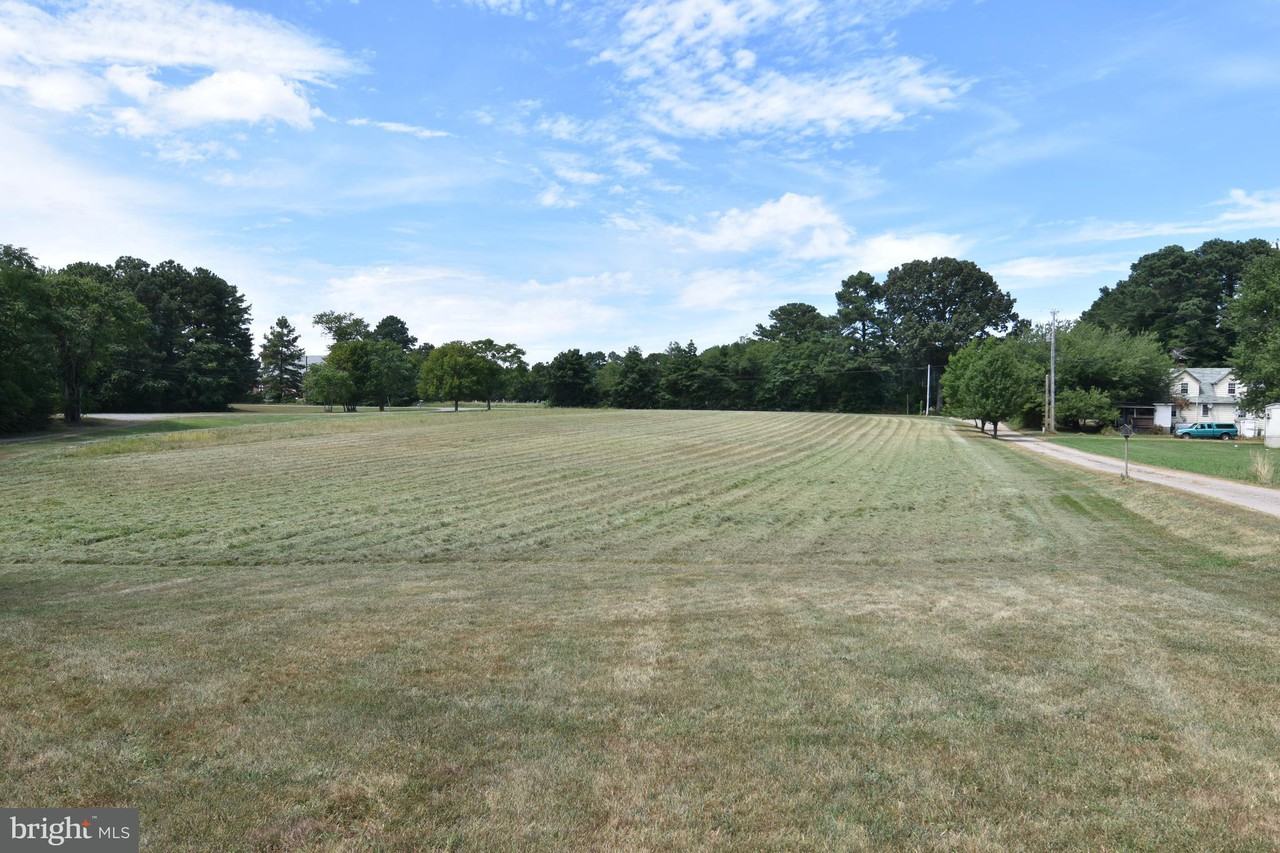 49437 Portneys Overlook Rd - Photo 3 of 19