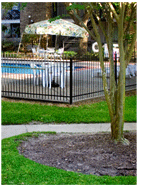 Falcon Point - Photo 3 of 5