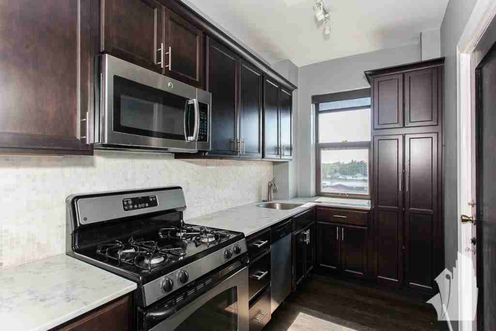 3420 North Lake Shore Drive #17294