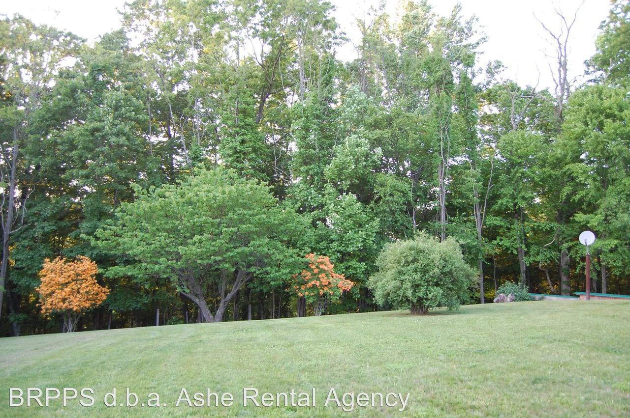 239 Big Phoenix Mountain Rd - Photo 2 of 18