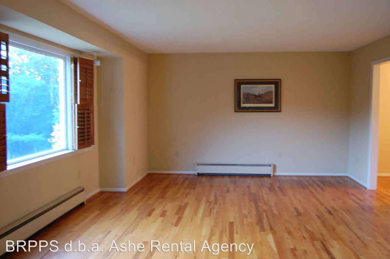 239 Big Phoenix Mountain Rd - Photo 3 of 18