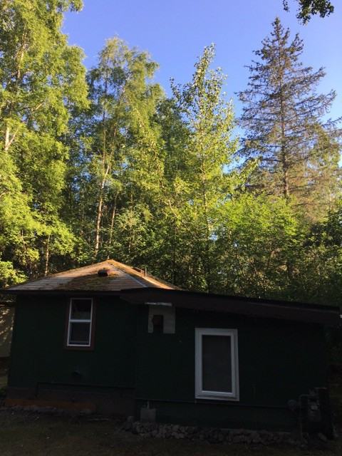 552 Boretide Rd - Photo 3 of 12
