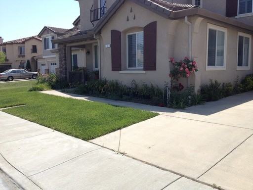 11 Water Fern Ct - Photo 2 of 22