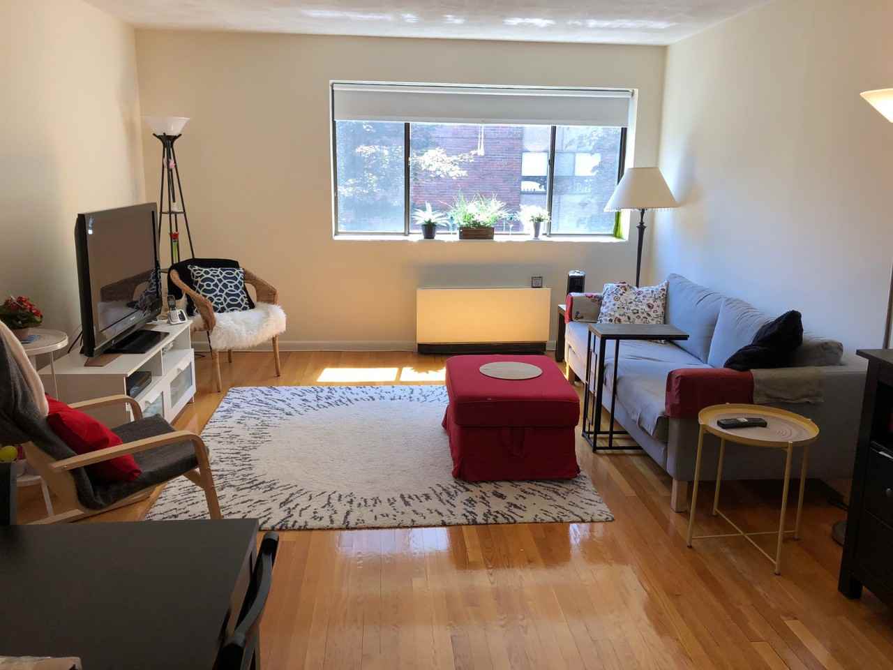 Williams St & Winchester St #203, Brookline, MA 02446 1 Bedroom Apartment  for $2,190/month - Zumper
