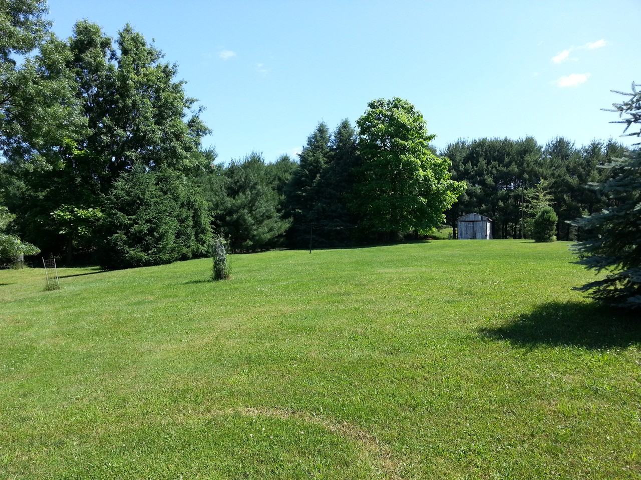 1208 Windfield Dr - Photo 3 of 9