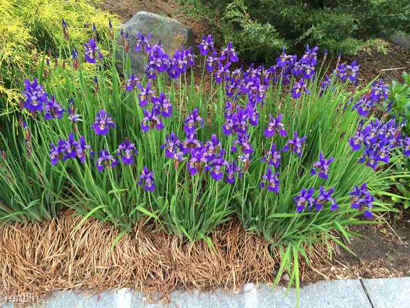 174 Narragansett Ave - Photo 2 of 22