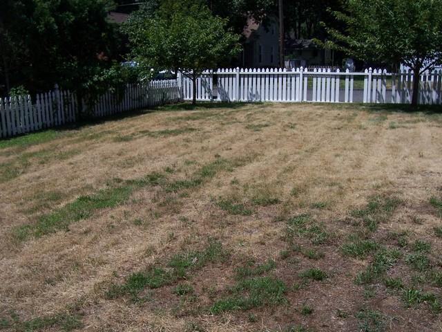 202 Forrest Ave - Photo 2 of 20