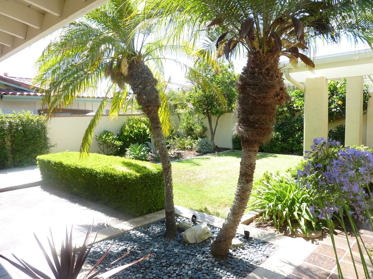 1651 Calle Leticia - Photo 2 of 14