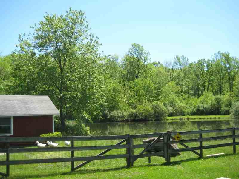 650 Woodglen Rd - Photo 2 of 11