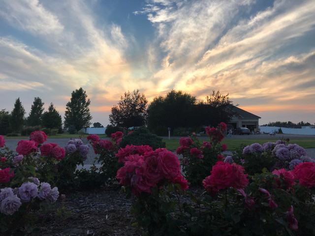 3958 170 N - Photo 3 of 18