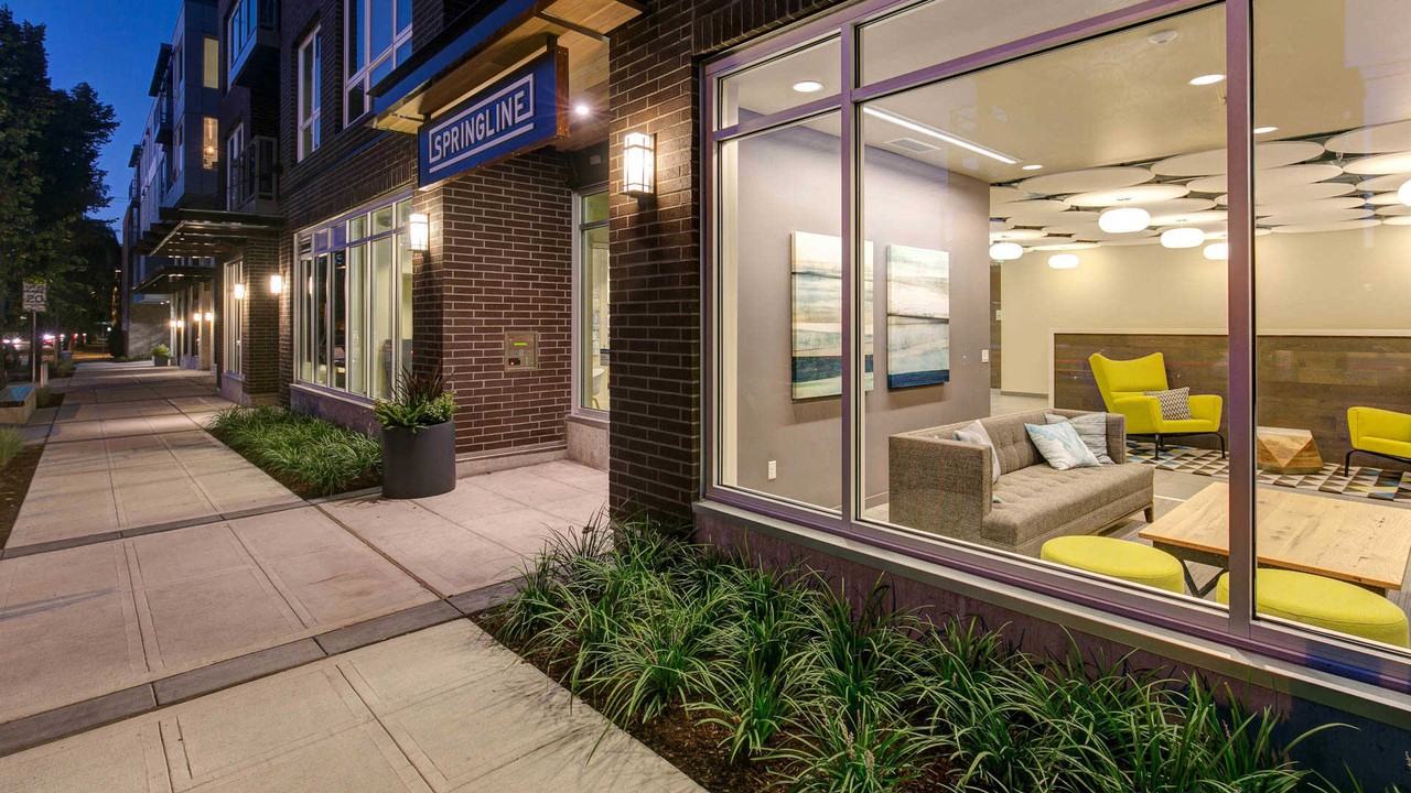 Springline - Photo 4 of 50