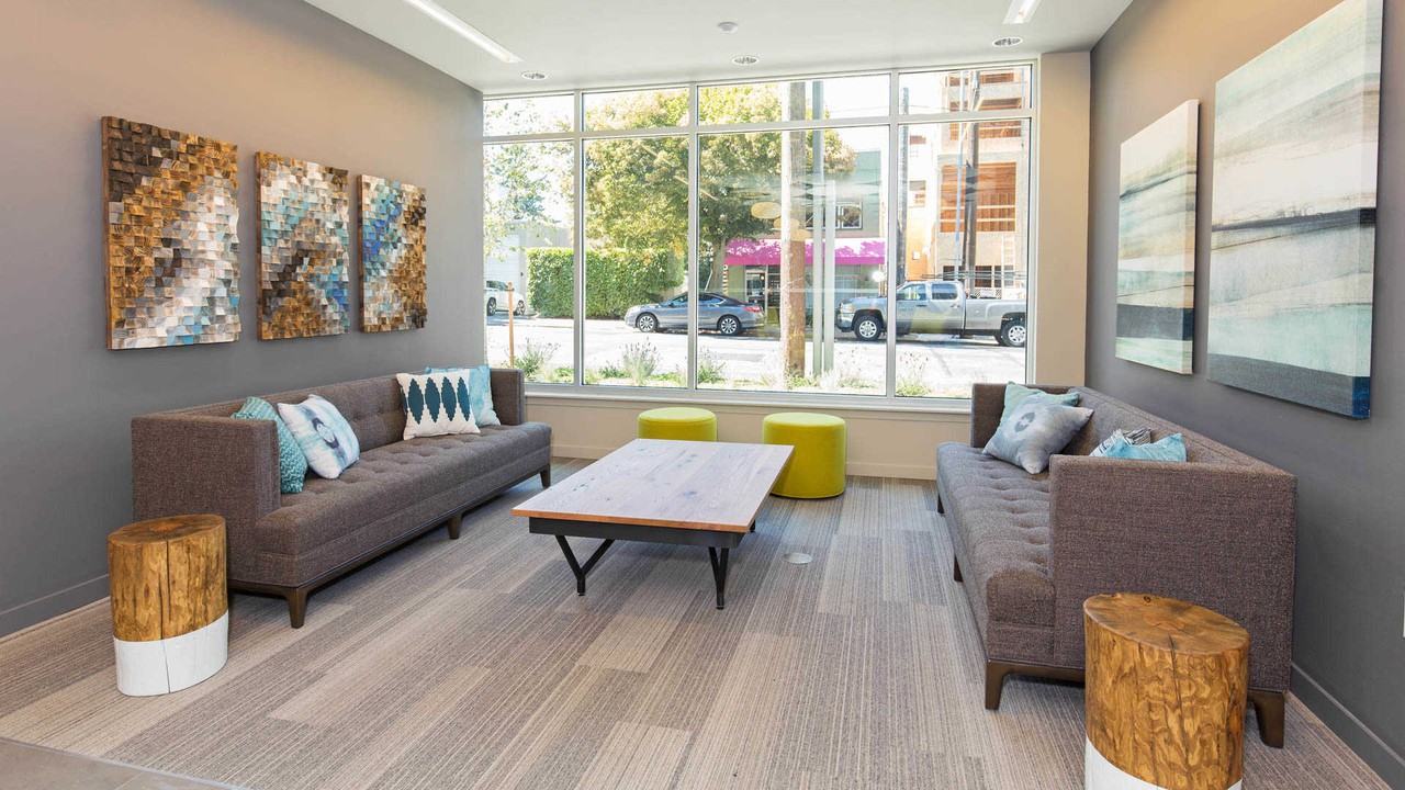 Springline - Photo 5 of 50