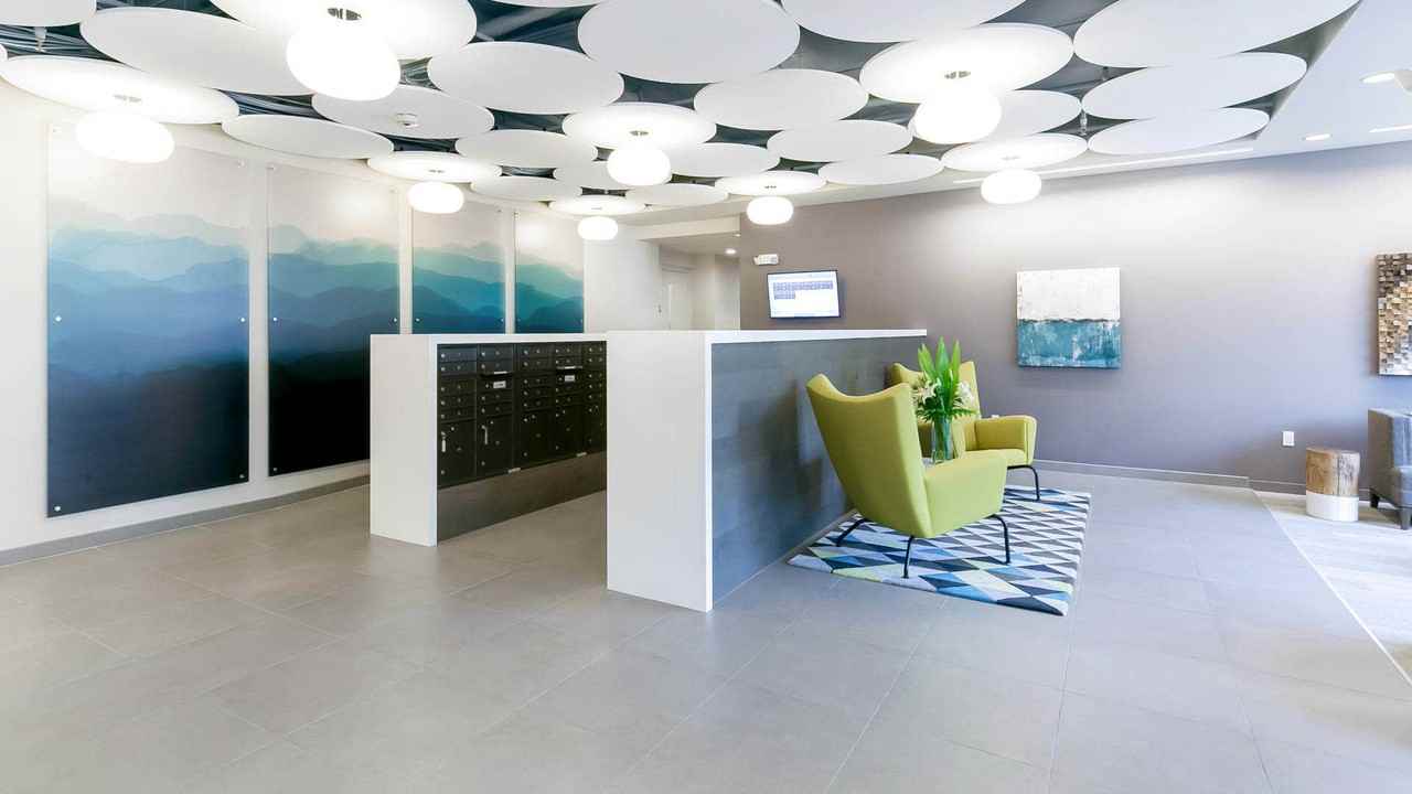 Springline - Photo 6 of 50