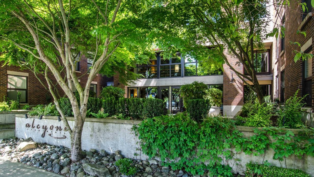 Alcyone - Photo 2 of 41