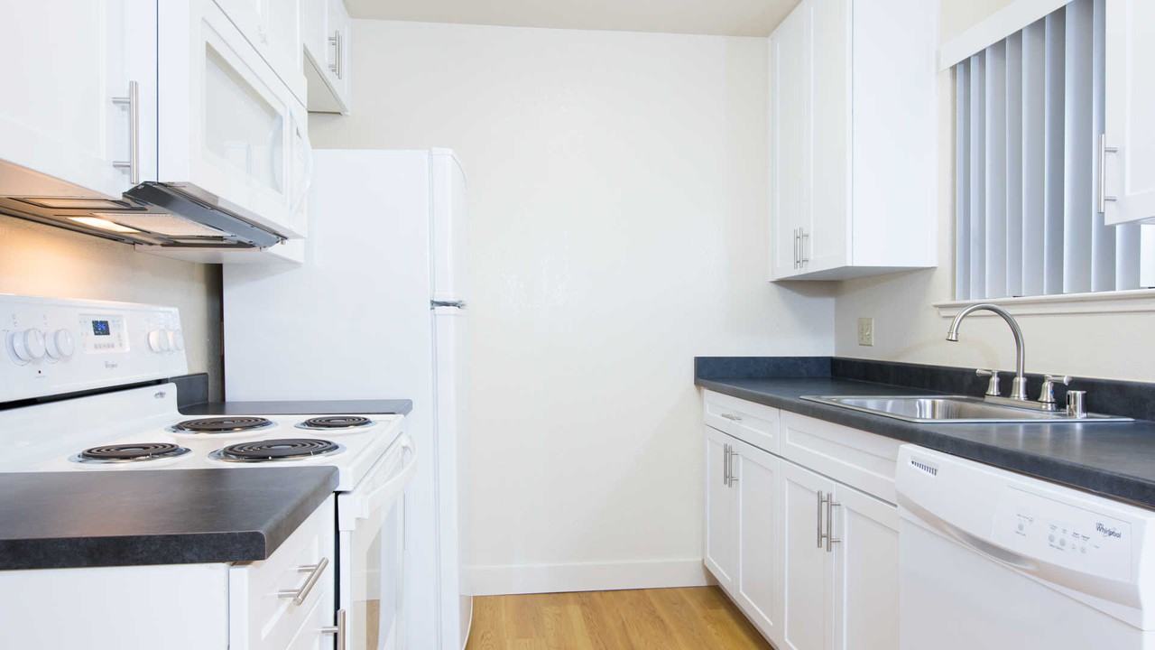 Skylark - Photo 2 of 27