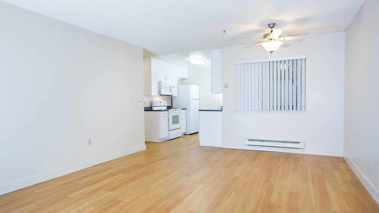 Skylark - Photo 5 of 27