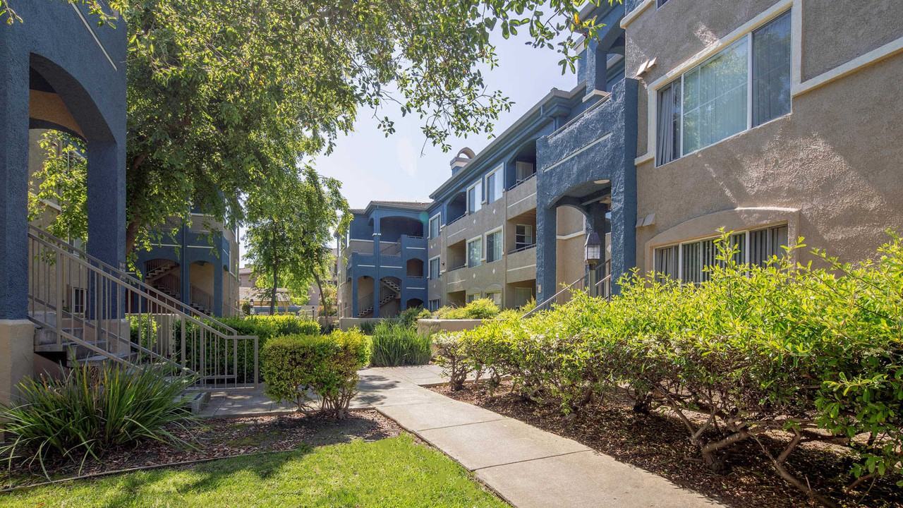 Alborada - Photo 5 of 52