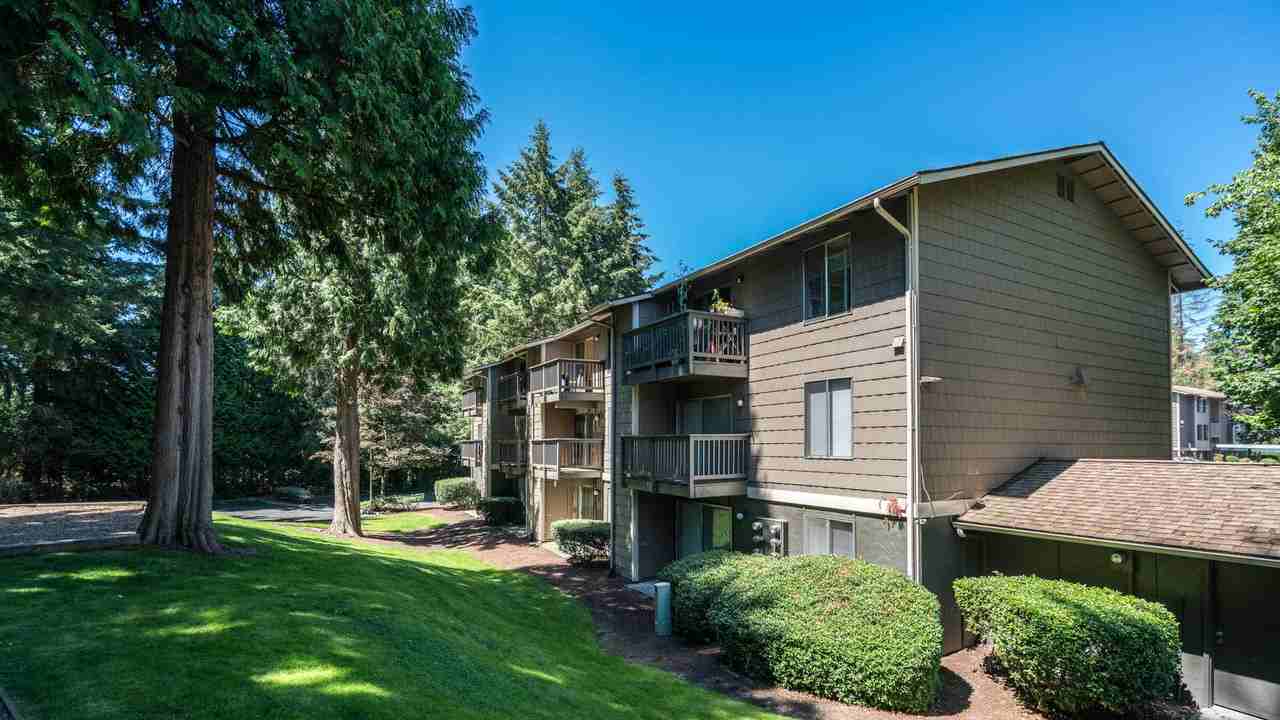 Redmond Court Apartments for Rent - 14629 N.E. 37th Pl., Bellevue, WA