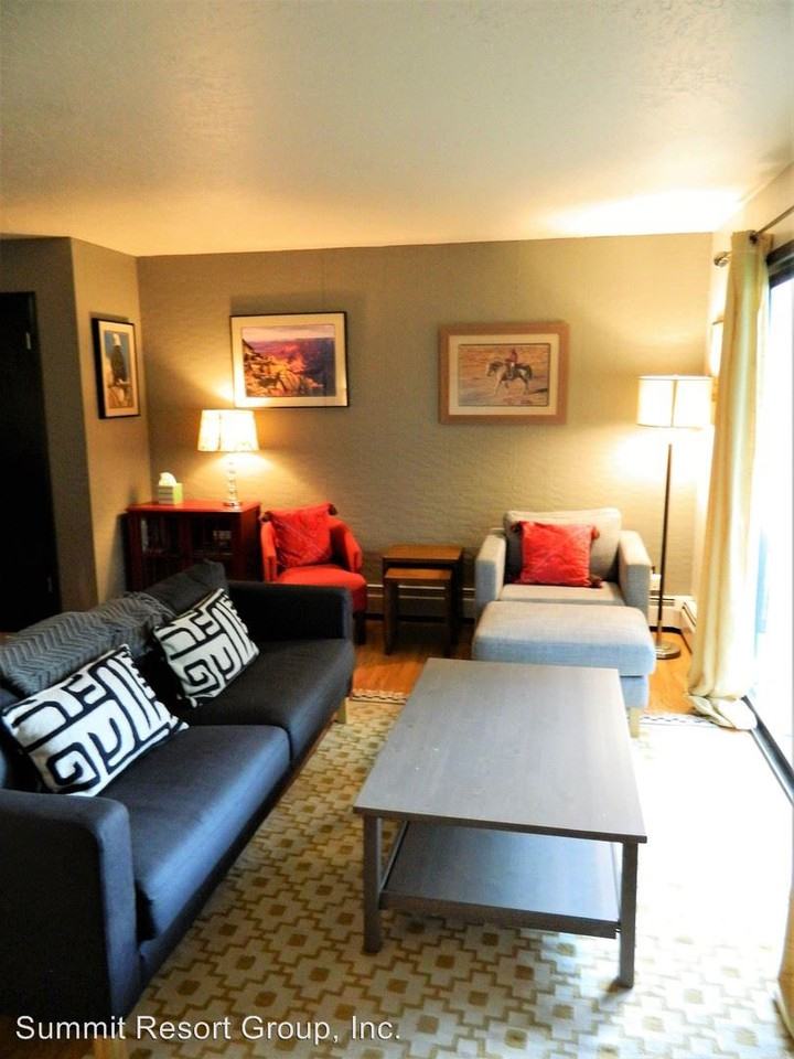 1113 Straight Creek Dr - Photo 3 of 13