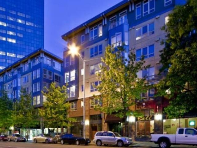 The Shelby - Photo 3 of 6