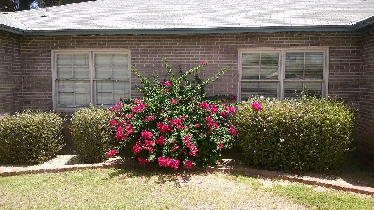 1145 W Willetta St - Photo 3 of 11