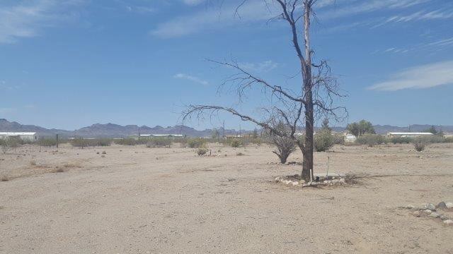 853 Estrella Rd - Photo 3 of 18